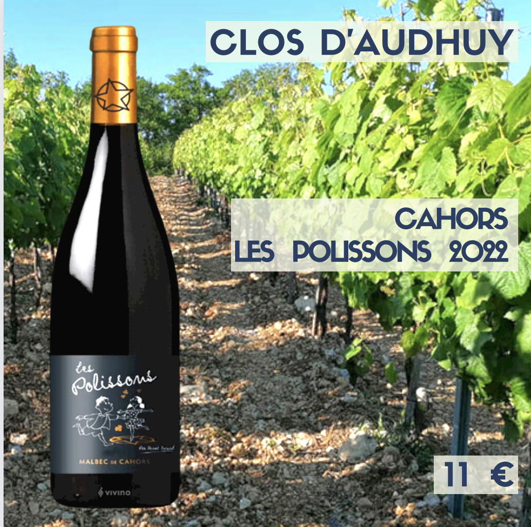 6 bouteilles Clos d'Audhuy Cahors « les Polissons » 2022 (11€)