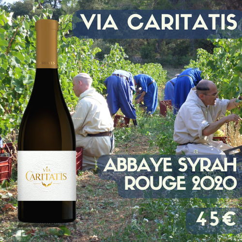 6 bouteilles Via Caritatis Abbayes Syrah rouge 2020 Ventoux (45€)
