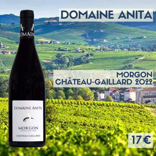 6 bouteilles de Morgon Château-Gaillard 2022  Domaine Anita (17€)