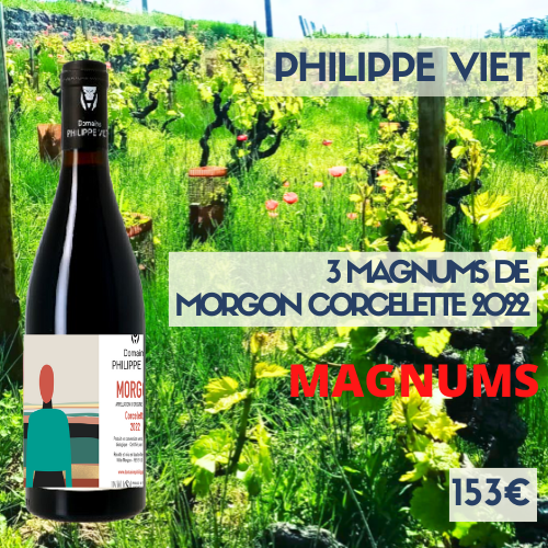 3 magnums de Morgon Corcelette 2023 Philippe Viet (52€)