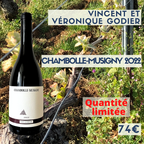 6 bouteilles Vincent et Véronique Godier, Chambolle-Musigny 2022 (74€)