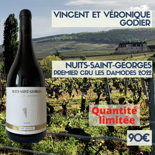 6 bouteilles Domaine Vincent et Véronique Godier, Nuits-Saint-Georges premier cru les Damodes 2022 (90€)