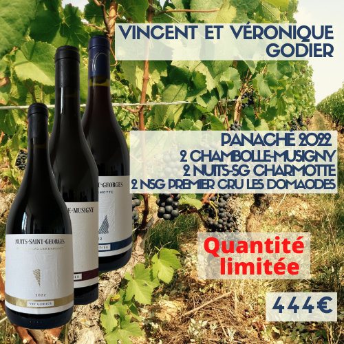 Panaché Vincent et Véronique Godier 2022  (444€)