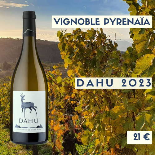 6 bouteilles de Vignoble Pyrenaïa DAHU blanc  2023 (21€)