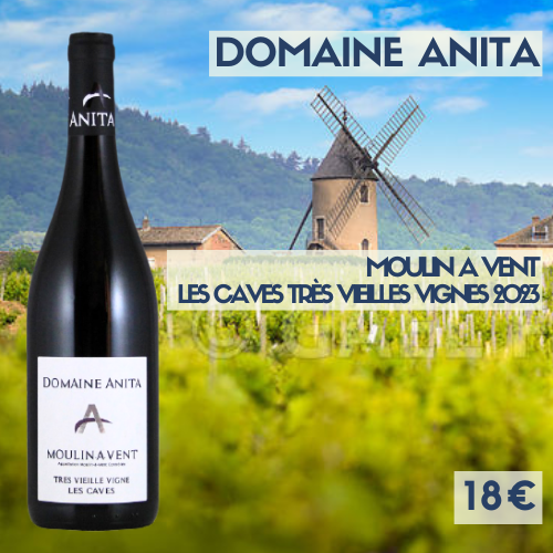 6 bouteilles de Moulin-à-Vent très Vieilles Vignes Les Caves 2023 Domaine Anita (18€)