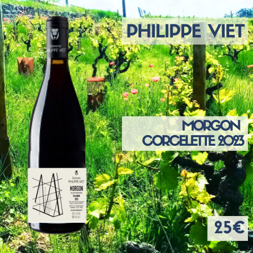 6 bouteilles de Morgon Corcelette 2023 Philippe Viet (25€)