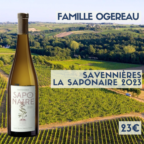 6 bouteilles Famille Ogereau Savennières La Saponaire 2023 (23€)
