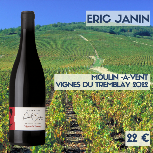 6 bouteilles de Moulin à Vent Les Vignes du Tremblay  2023 domaine Paul Janin (22€)