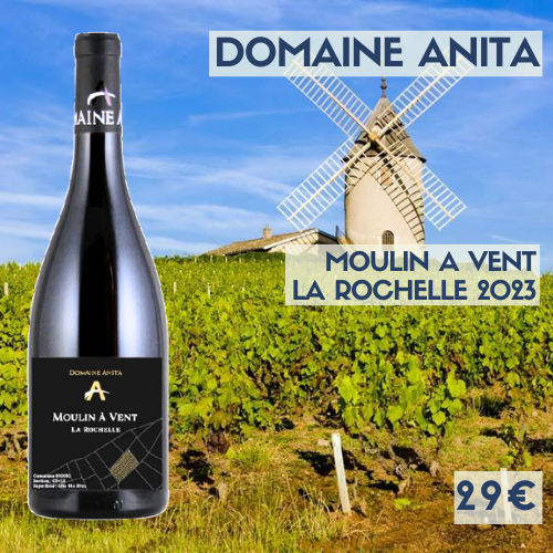 6 bouteilles de Moulin-à-Vent  La Rochelle 2023 Domaine Anita (29€)