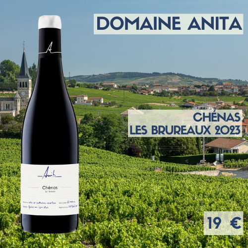 6 bouteilles de Chénas  Les Bruneaux 2023  Domaine Anita (19€)