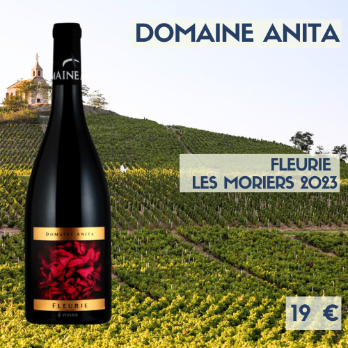 6 bouteilles de Fleurie  les Moriers  Domaine Anita 2023 (19€)