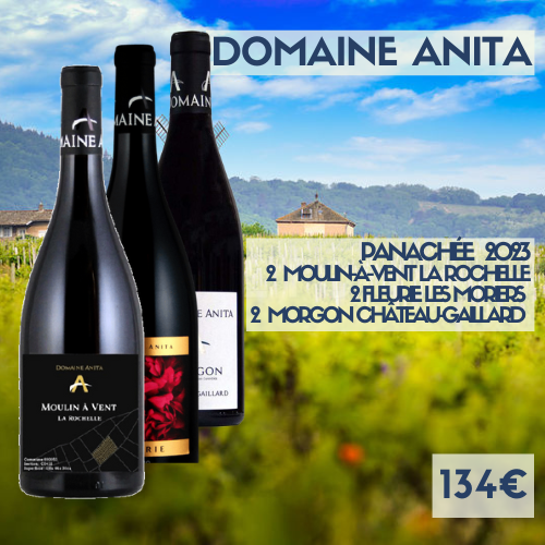 Panaché 2023  : 2 bouteilles de Moulin à Vent La Rochelle, 2 bouteilles Fleurie Les Moriers et 2 bouteilles de Morgon Château-Gaillard Domaine Anita (134€)
