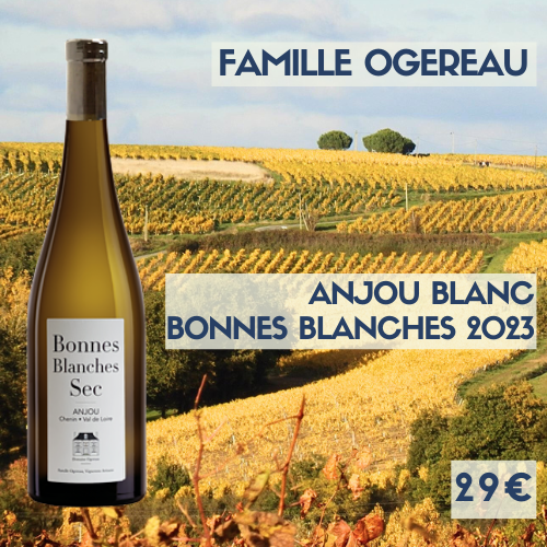 6 bouteille Famille Ogereau Anjou « Bonnes Blanches » 2023 (29€)