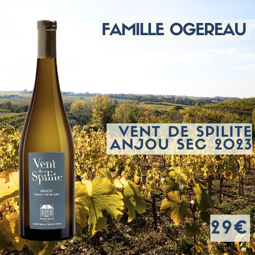 6 bouteilles Famille Ogereau Anjou Vent de Spilite 2023  (29€)