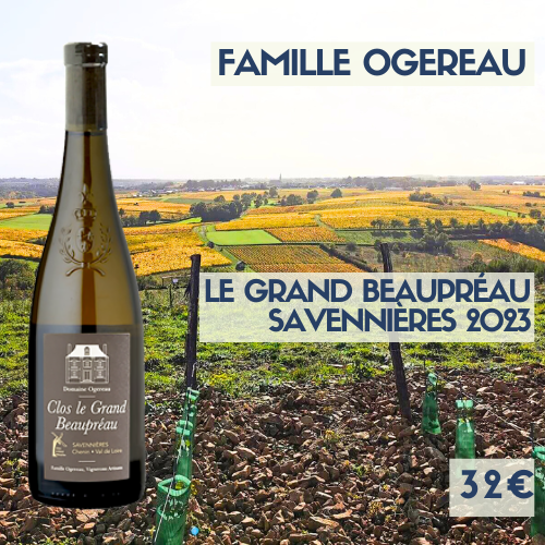 6 bouteilles Famille Ogereau Savennières Clos le Grand Beaupréau 2023 (32€)