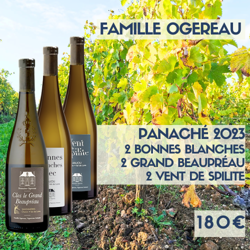 Panaché de 6 bouteilles 2023 Famille Ogereau (180€)