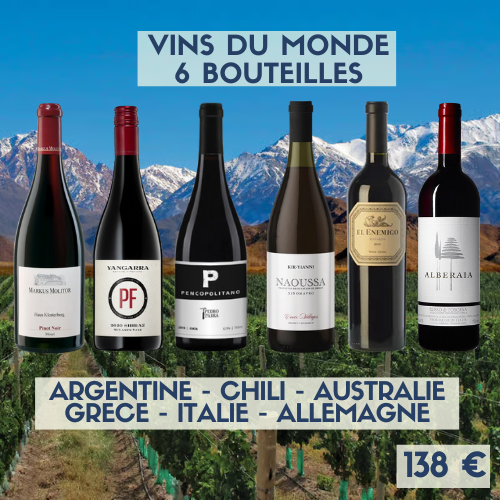 Vins du monde panachée de 6 bouteilles (138€)