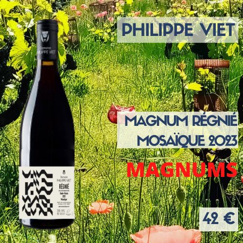 3 magnums de Régnié Mosaïque 2023 Philippe Viet (42 €)