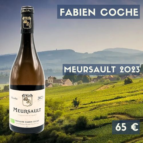 6 bouteilles Fabien Coche Meursault — (65 €)
