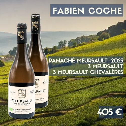 6 bouteilles Fabien Coche Panaché Meursault 2023 - (405€)