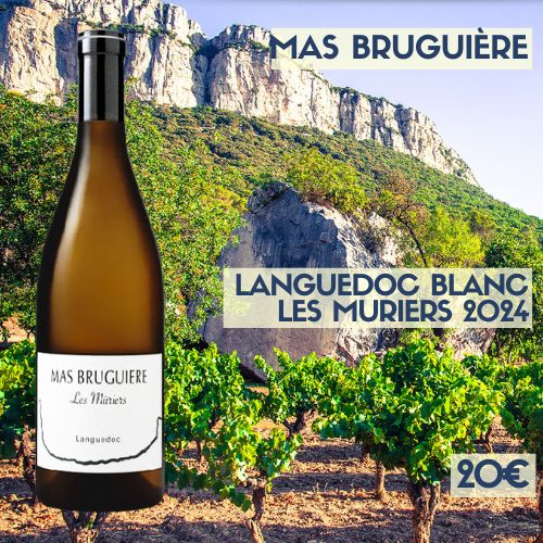 6 bouteilles Mas Bruguière Coteaux du Languedoc blanc les Muriers 2024 (20€)