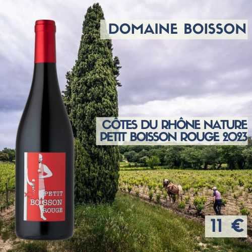 6 bouteilles de Côtes du Rhône Rouge  Petit Boisson (vin sans soufre) 2023   domaine Boisson (11€)
