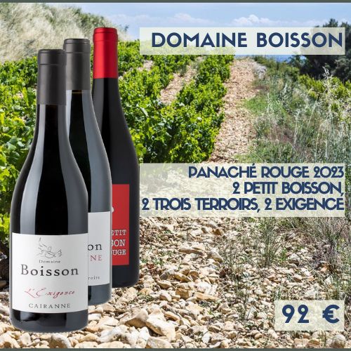 Panaché découverte de rouge 2023 : 2 Petit Boisson, 2 Cairanne Trois Terroirs et 2 Cairanne Exigence  domaine Boisson (9O€)
