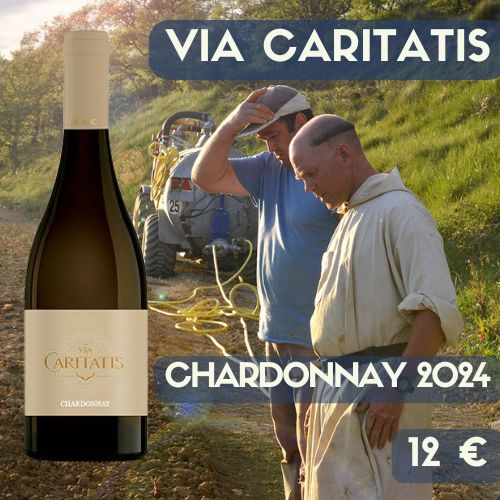 6 bouteilles Via Caritatis Chardonnay 2024 (12€)