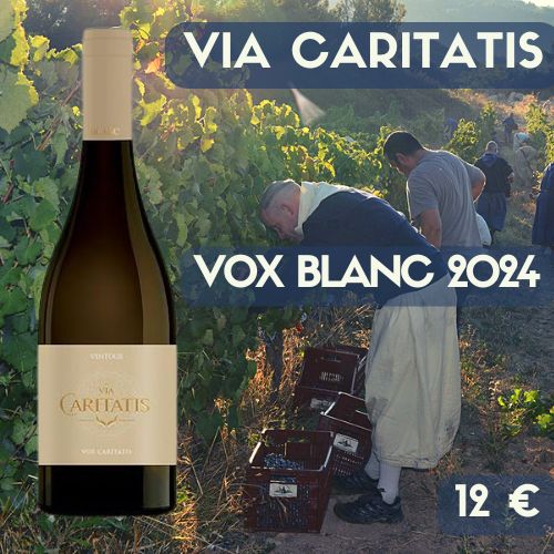 6 bouteilles de Vox Blanc Ventoux 2024 Via Caritatis (12€)