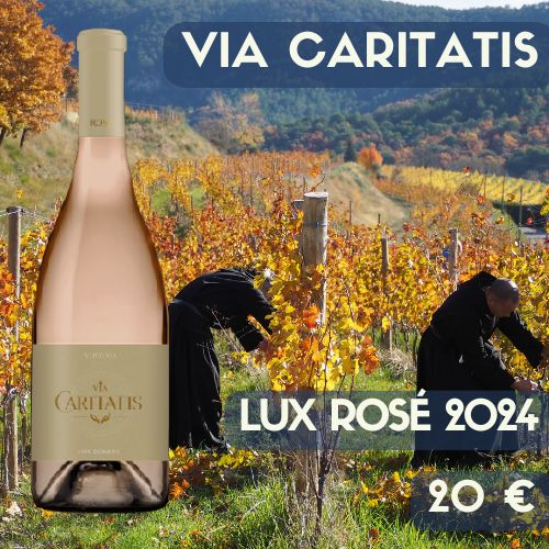 6 bouteilles Via Caritatis Lux Rosé 2024 Ventoux (20 €)