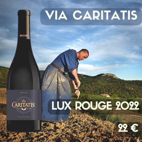 6 bouteilles Via Caritatis Lux Rouge 2022 Ventoux (22€)