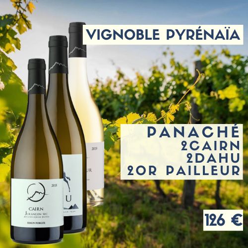 Panachée de 6 bouteilles de Vignobles Pyrenaïa : 2x CAIRN 2024, 2x DAHU 2023 et  2x OR PAILLEUR 2024 (126€)