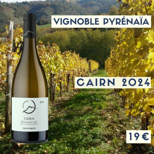 6 bouteilles de Vignobles Pyrenaïa Jurançon blanc sec  CAIRN  2024 (19€)