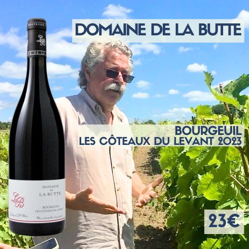 6 bouteilles Domaine de la Butte Bourgueil « Les Côteaux du Levant » 2023  ( 23 €)