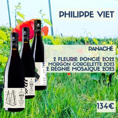 Panaché 6 bouteilles Beaujolais de Philippe Viet (134€)