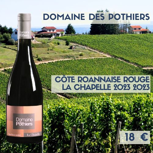 6 bouteilles de Côte-roannaise domaine des Pothier La Chapelle 2023 (18€)