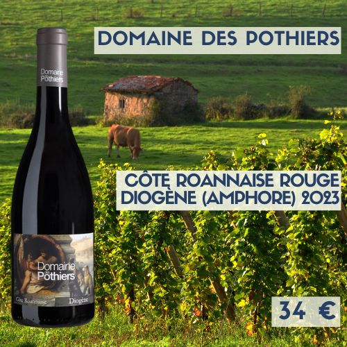 6 bouteilles de Côte-roannaise domaine des Pothier Diogène 2023 (Amphore) (34€)