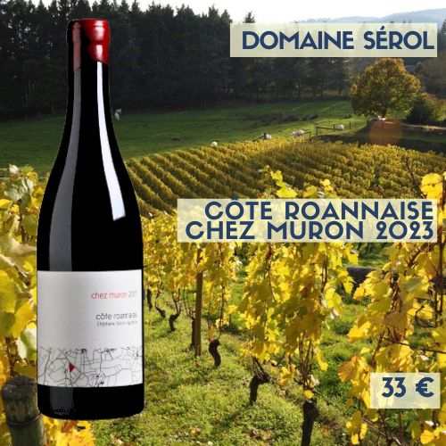 6 bouteilles de Côte-roannaise domaine Sérol Chez Muron (Millerand) 2023 (34€)