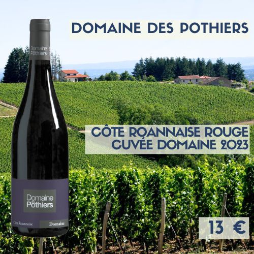 6 bouteilles de Côte-roannaise domaine des Pothier cuvée Domaine 2023 (13€)