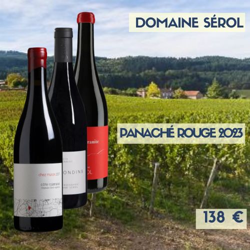 6 bouteilles Panaché de Côte-Roannaise rouge Domaine Sérol 2023 (138 €)