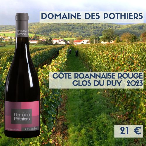 6 bouteilles de Côte-roannaise domaine des Pothier Clos du Puy 2023 (21€)