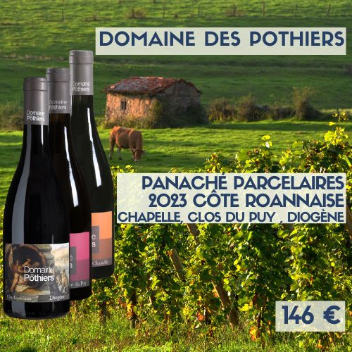 6 bouteilles de Panaché de Côte Roannaise domaine des Pothier Parcelaires 2023 (146€)