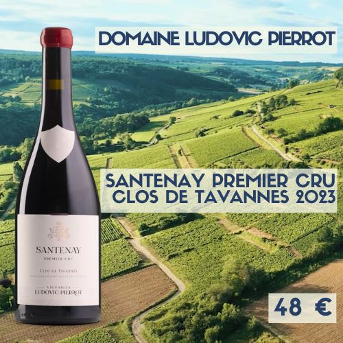 6 bouteilles de Santenay 1er cru Clos de Tavannes domaine Ludovic Pierrot 2023   (48€)