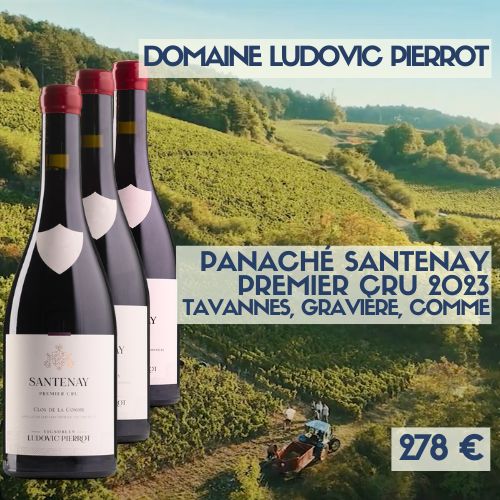 6 bouteilles de Panaché de Santenay premier cru domaine Ludovic Pierrot  2023    (278€)