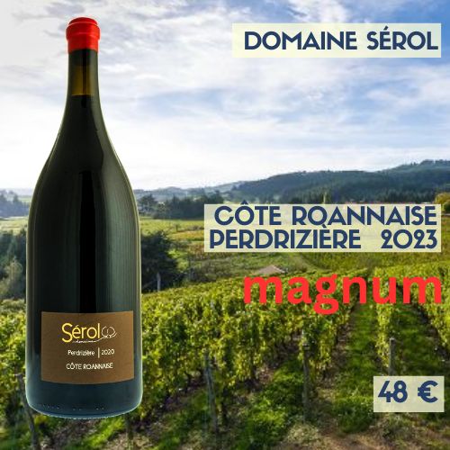 3 magnums  de Côte-roannaise domaine Sérol Perdrizière 2022 (23€)