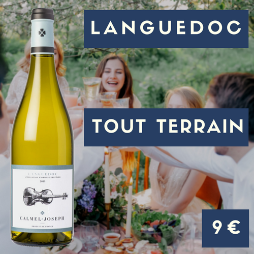 6 bouteilles de Calmel et Joseph, Languedoc blanc 2019 (9€)