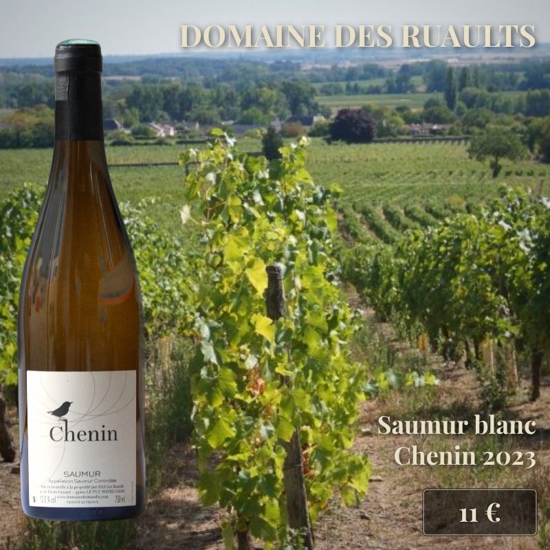6 bouteilles de Saumur Blanc 2023, Domaine des Ruaults (11€) 6 bouteilles de Saumur Blanc 2023, Domaine des Ruaults (11€)