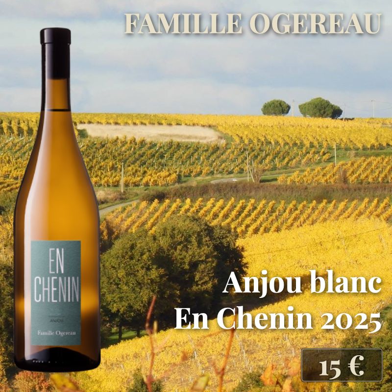 6 bouteilles de "Anjou blanc En Chenin 2025", Famille Ogereau (15€) 6 bouteilles de "Anjou blanc En Chenin 2025", Famille Ogereau (15€)