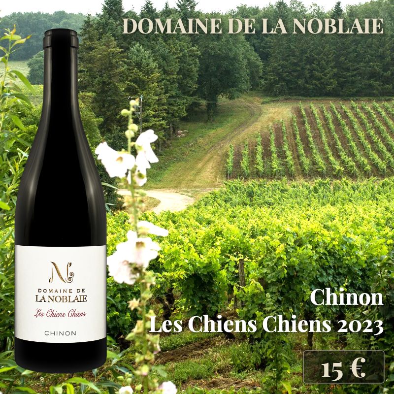 6 bouteilles de "Chinon Les Chiens Chiens 2023", Domaine de la Noblaie (15€) 6 bouteilles de "Chinon Les Chiens Chiens 2023", Domaine de la Noblaie (15€)