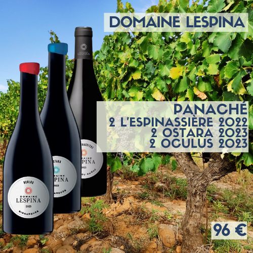 Panaché découverte 6 bouteilles Domaine Lespina  (96 €)